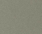 Kolory wanien Universum Spa: Champagne metal